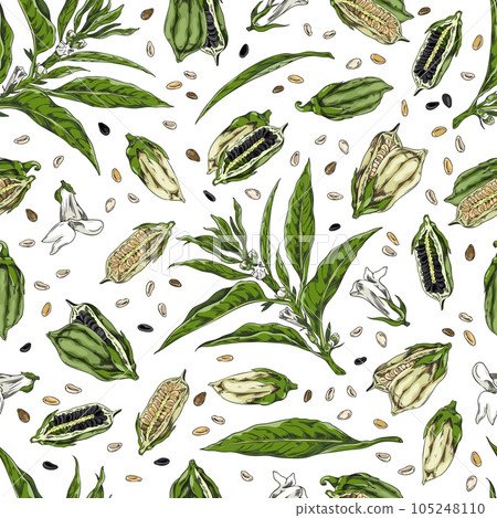 Color seamless pattern with sesame, plant branch with leaves, capsules, seeds and flowers vector hand drawn illustration Color seamless pattern with sesame, plant branch with leaves, capsules, seeds and flowers vector hand drawn illustration 105248110