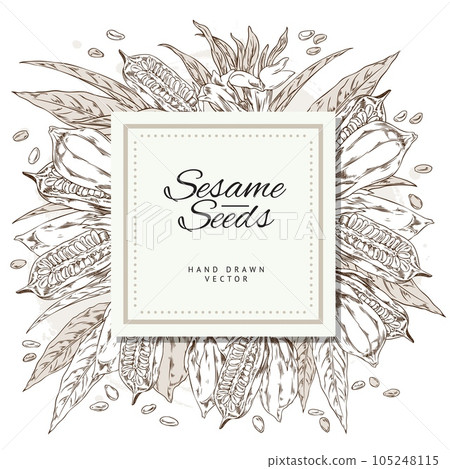 Vector template label design with contour sketch sesame plant with leaves, capsules, seeds and flowers with lettering 105248115