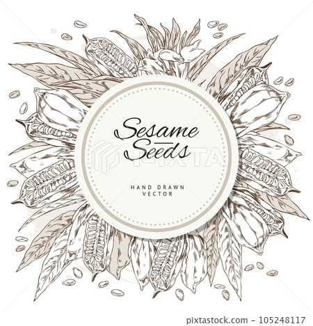 Sesame seeds and plants round banner with text, sketch vector illustration isolated on white background. 105248117