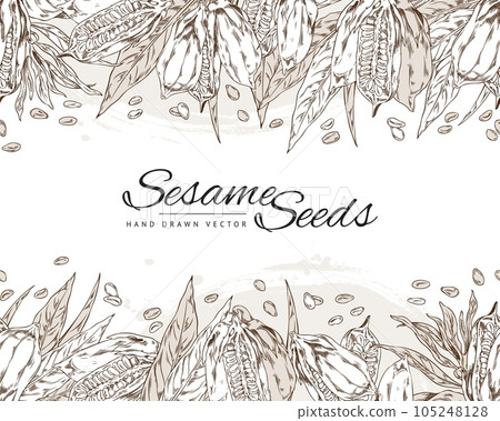 Sesame seeds seamless border, hand drawn sketch vector illustration on white background. 105248128