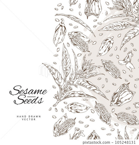 Vector template background with outline sketch drawing sesame plant with leaves, capsules, seeds and flowers 105248131