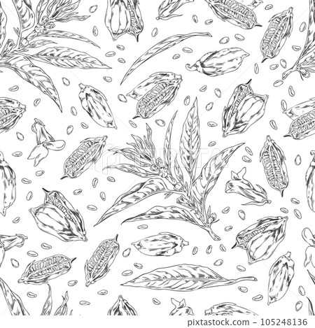 Sesame seeds with leaves and flowers, seamless pattern in sketch style, vector illustration. 105248136