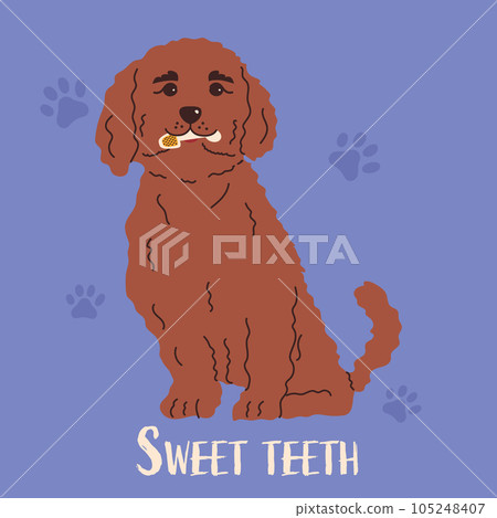 Dog with toys for brushing or massaging teeth. Dog dental health. Canine dental care and hygiene concept. Vector illustration 105248407