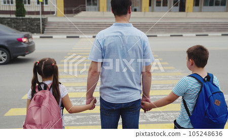 asphalt zebra crossing, school road, student happy family road, green light, father hand girl boy, happy family walk zebra, child jumping joyfully, kid student crossing road zebra traffic light 105248636