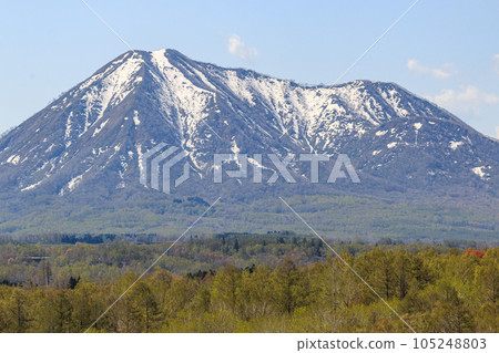 Mt. Shiribetsu viewed from Bohito Hill, Kyogoku Town, Hokkaido [May] 105248803