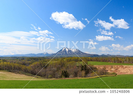 Mt. Shiribetsu viewed from Bohito Hill, Kyogoku Town, Hokkaido [May] 105248806