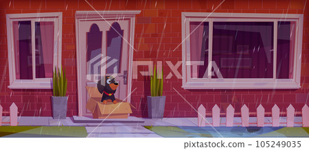 Homeless dog in box on porch in rainy weather 105249035