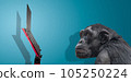Chimpanzee is watching at slim and modern laptop computer at a red stand isolated with shadow at blue sky gradient background with copy space. Concept of digital world, information and education. 105250224