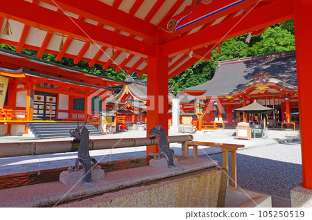 [Kumano Nachi Taisha] Wakayama Prefecture 105250519