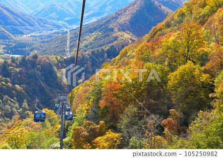 Autumn Naeba Dragon Dora Autumn Naeba Dragon Dora 105250982