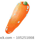 carrot 105251008