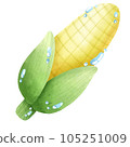 sweetcorn 105251009