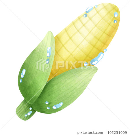 sweetcorn sweetcorn 105251009