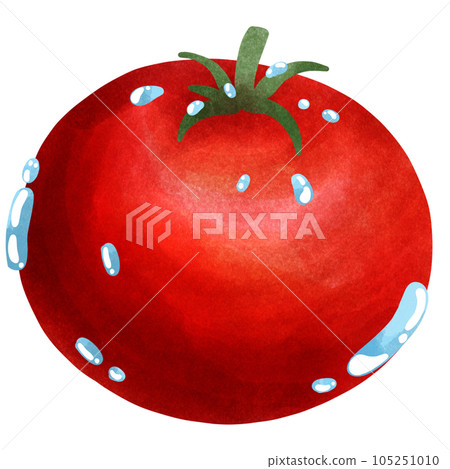 tomato tomato 105251010