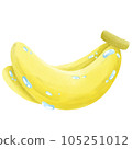 banana 105251012