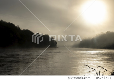 Foggy morning on the river Foggy morning on the river 105251325