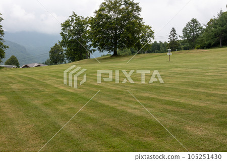Okushiga Kogen in summer, Nagano Prefecture 105251430