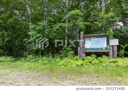 Okushiga Kogen in summer, the entrance to Shirakaba Enji 105251480