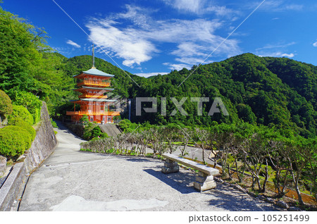 Nachisan Aegishi Watari Temple Triple Tower and Nachi Falls Nachisan Aegishi Watari Temple Triple Tower and Nachi Falls 105251499