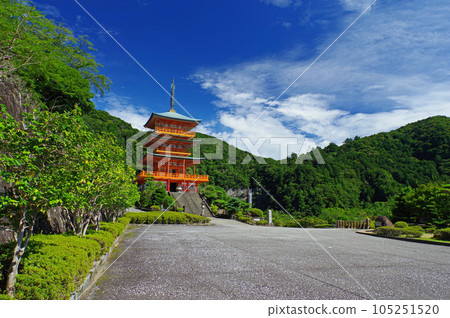 Nachisan Aegishi Watari Temple Triple Tower and Nachi Falls 105251520