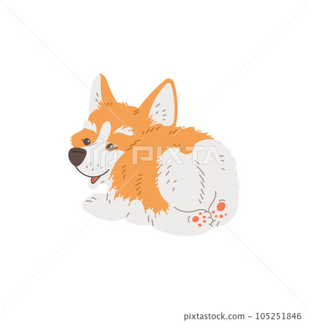 Happy lying corgi dog back view flat style, vector illustration 105251846