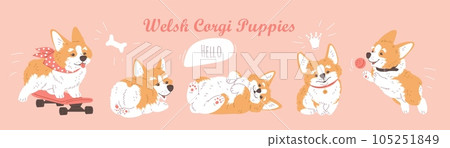 Welsh cartoon Corgi puppy dog in various poses, enjoy ride on skateboard, caressing, playing lovely pets character set 105251849