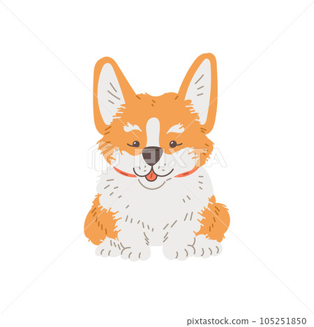 Happy sitting corgi dog front view flat style, vector illustration 105251850