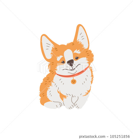 Cartoon Corgi purebred breed of furry dog smiling, sitting, collar with heart pendant, vector isolated illustration Cartoon Corgi purebred breed of furry dog smiling, sitting, collar with heart pendant, vector isolated illustration 105251856