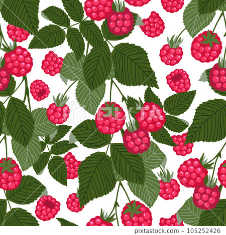 Raspberry vector seamless pattern. Sweet red forest berries and branches with leaves isolated on white. Botanical background. Hand drawn cute cartoon organic natural healthy fruit illustration 105252426