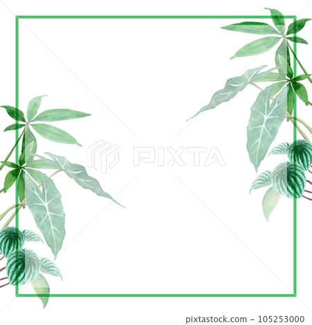 模擬水彩觀葉植物方框 105253000