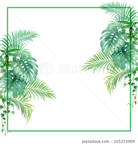 模擬水彩觀葉植物方框 105253009