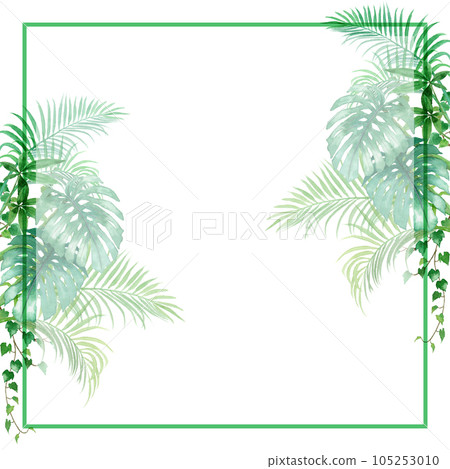 Analog watercolor foliage plant square frame 105253010
