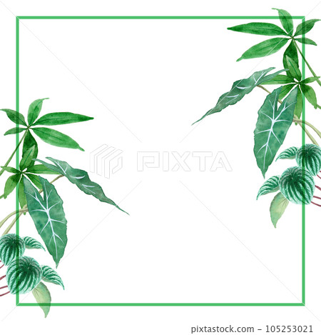 模擬水彩觀葉植物方框 105253021