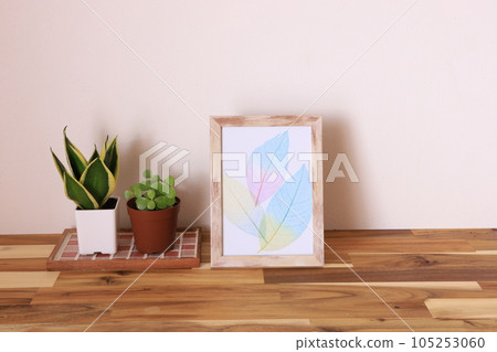 觀賞植物的房間 105253060