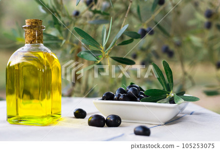 Still life of olives and oil on a table against a background of olive trees Still life of olives and oil on a table against a background of olive trees 105253075