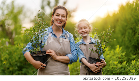 mother and daughter gardening in the backyard 105253389