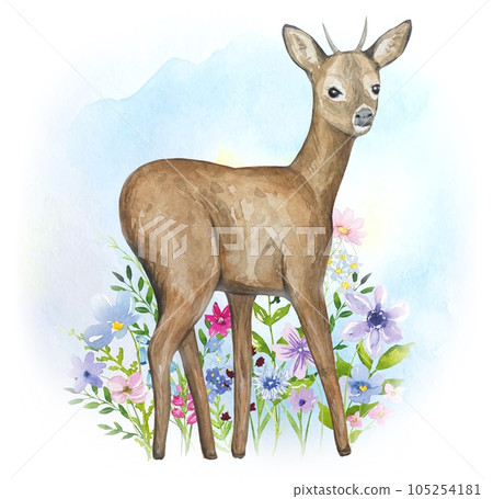 Deer with meadow flowers and leaves, watercolor 105254181