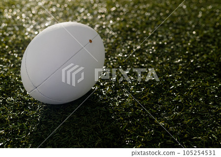 White rugby ball over grass with copy space, in slow motion White rugby ball over grass with copy space, in slow motion 105254531