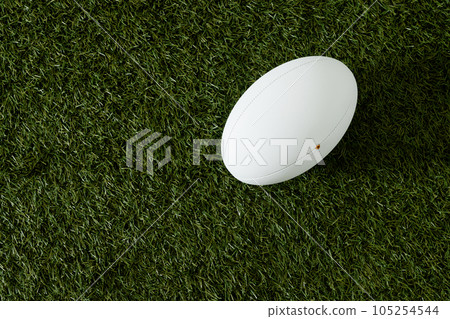 White rugby ball over grass with copy space, in slow motion White rugby ball over grass with copy space, in slow motion 105254544