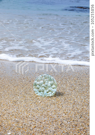 beautiful beach and glass ball beautiful beach and glass ball 105255856