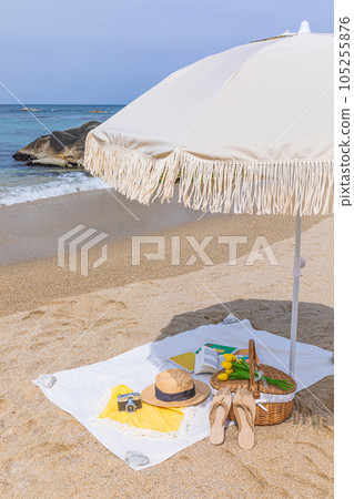 picnic set at beach 105255876