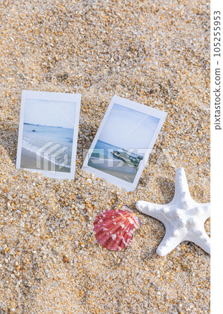 beach, polaroid camera and seashall beach, polaroid camera and seashall 105255953