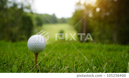 Golf ball on green grass in the evening golf course with sunshine background. 105256400