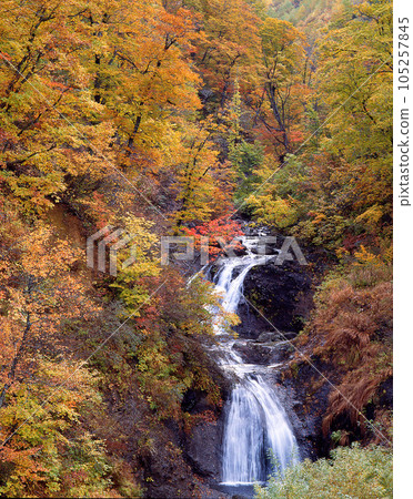 A two-tiered small waterfall surrounded by autumn leaves 105257845