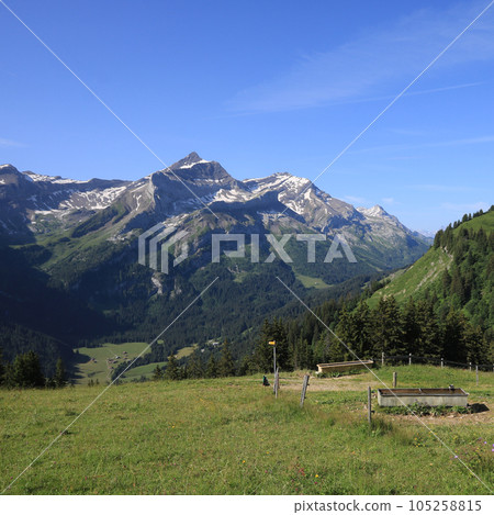Mount Oldehore and Glacier 3000 summit station seen from Topfelsberg. 105258815