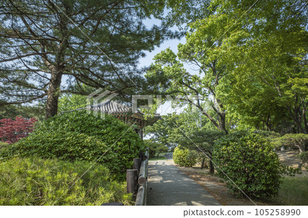 杜鵑公園散步道 105258990