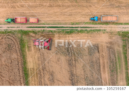 Combine harvester working on the wheat field. 105259167