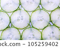 Aligned slices of cucumber cross section 105259402