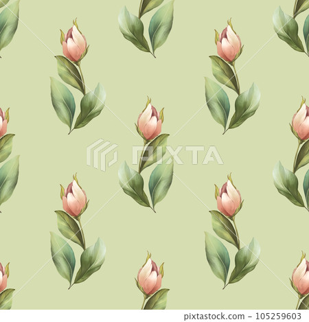 Seamless pattern with pink tulips on green. Floral background with hand drawn flowers. 105259603