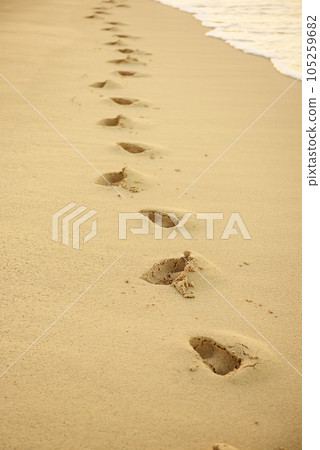 Footprints in the sand Footprints in the sand 105259682